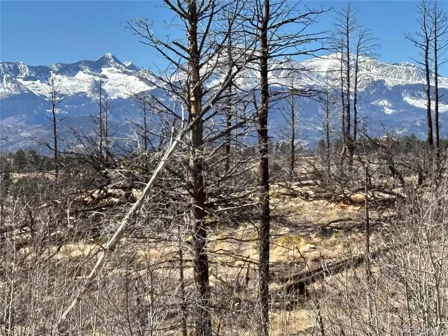 00 Marriot Circle, Fort Garland, CO 81133 - #3