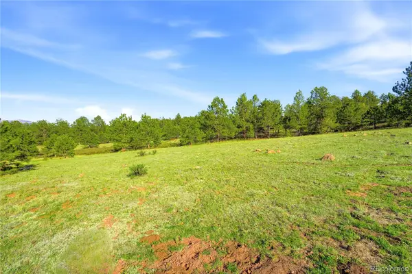 Doe Valley Road, Guffey, CO 80820