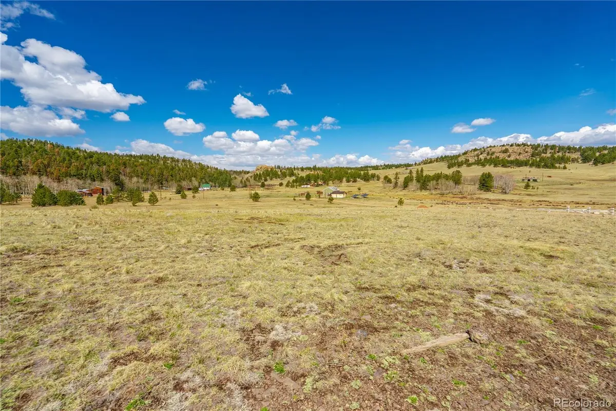 1265 County Rd 403, Florissant, CO 80816 - #1