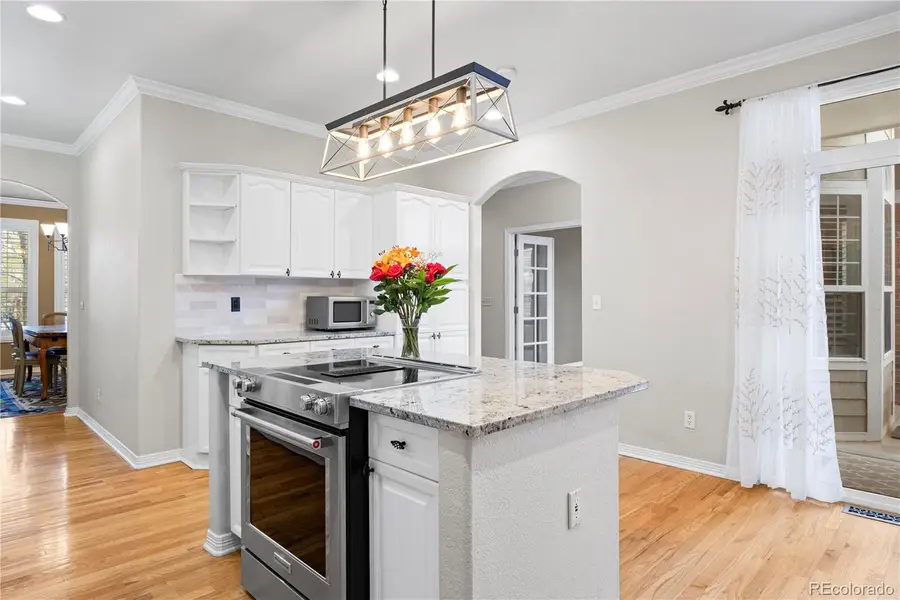 9843 Firestone Circle, Lone Tree, CO 80124 - #3