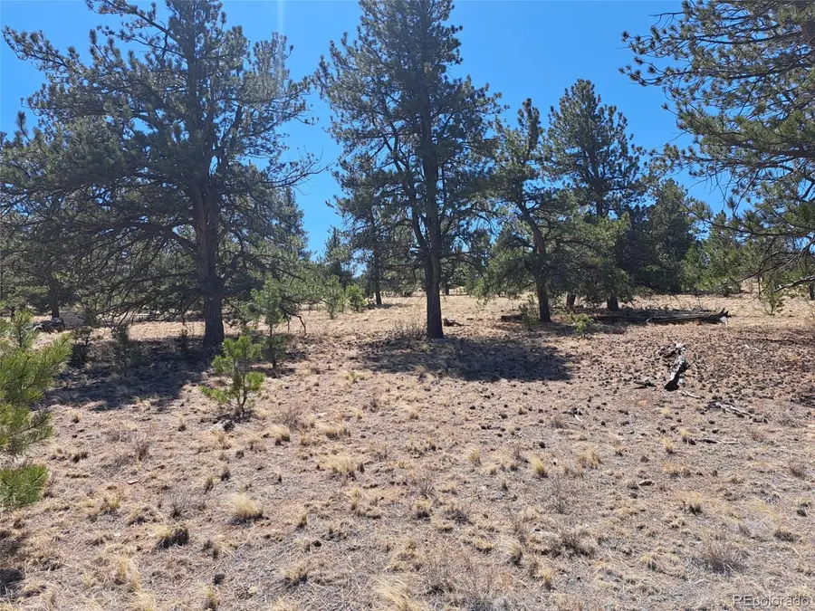 235 Maricopa Trail, Hartsel, CO 80449 - #2