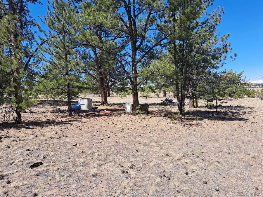 235 Maricopa Trail, Hartsel, CO 80449 - #3