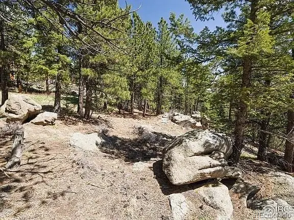 213 Rocky Knob Lane, Nederland, CO 80466 - #2