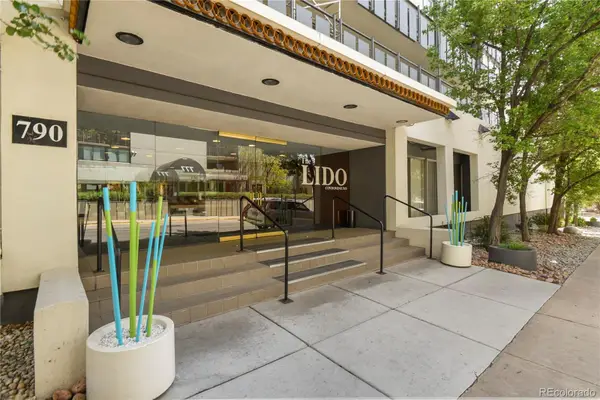 790 N Washington Street #1106, Denver, CO 80203