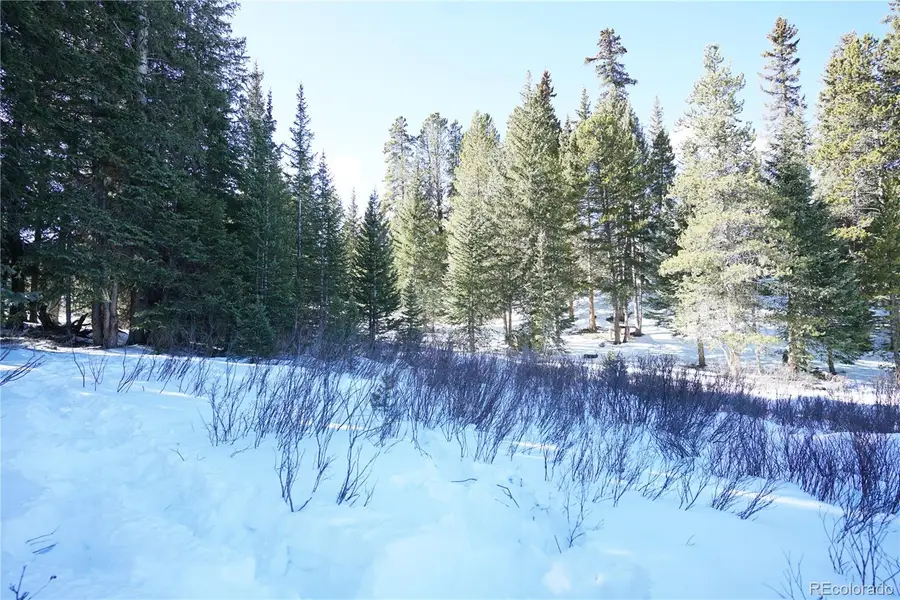 14 Rena Road, Breckenridge, CO 80424 - #2