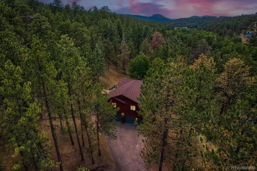 715 Mockingbird Trail, Bailey, CO 80421 - #3