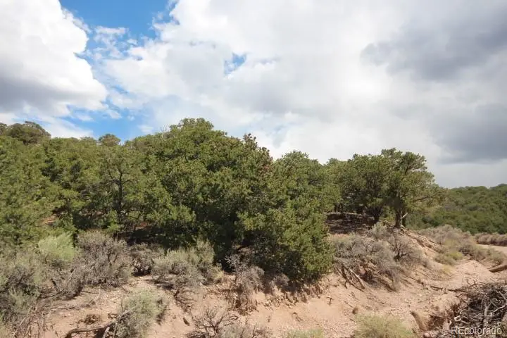 LOT 2157 San Isabel Road, Fort Garland, CO 81133 - #2