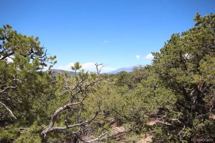 LOT 2157 San Isabel Road, Fort Garland, CO 81133 - #3