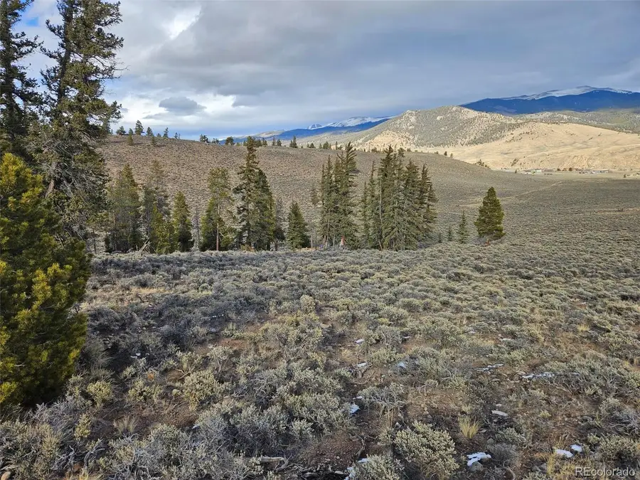 Parcel 11, Tract 11, Twin Lakes, CO 81251 - #3