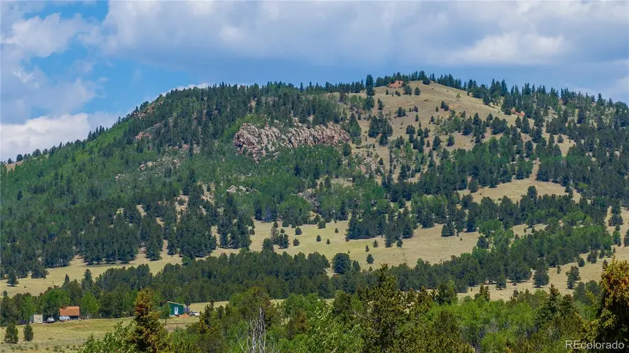 3243 County Road 86, Victor, CO 80860 - #2