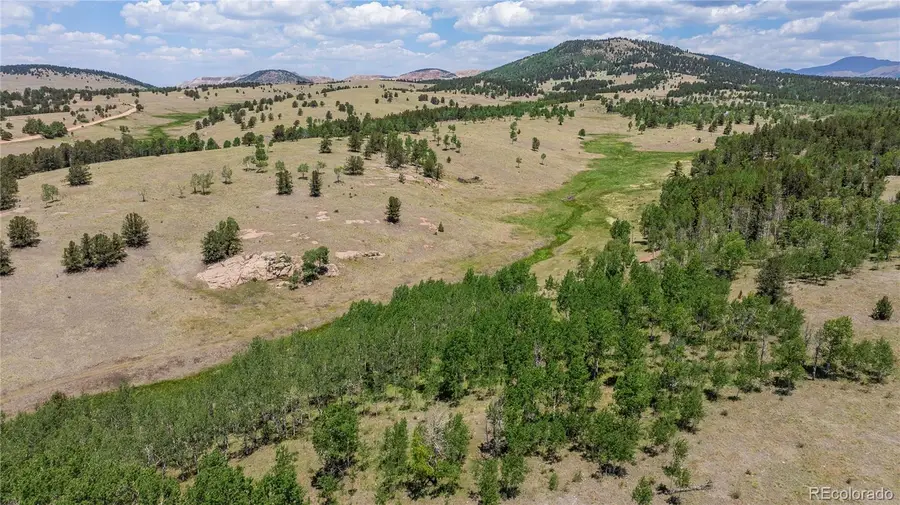 3243 County Road 86, Victor, CO 80860 - #3