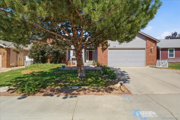 1116 Summit Court, Windsor, CO 80550