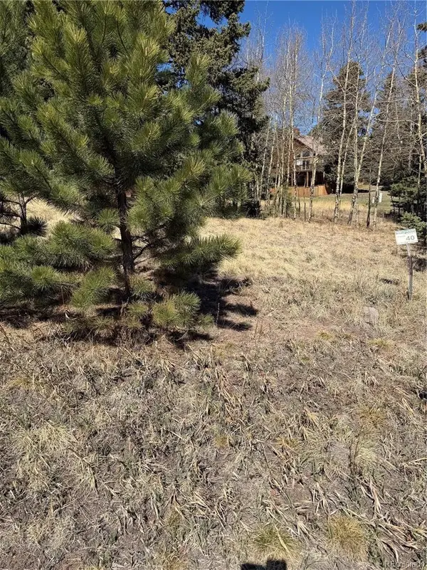 405 Meadow Park Drive, Divide, CO 80814