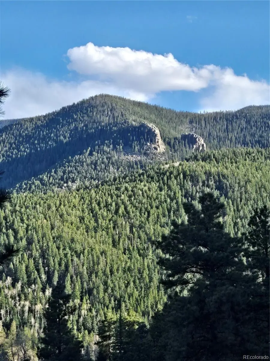 161 Highland Circle, Rye, CO 81069 - #3