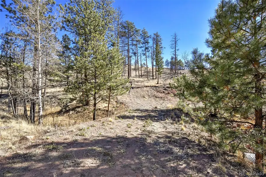 238 Chateau West Drive, Florissant, CO 80816 - Image #3