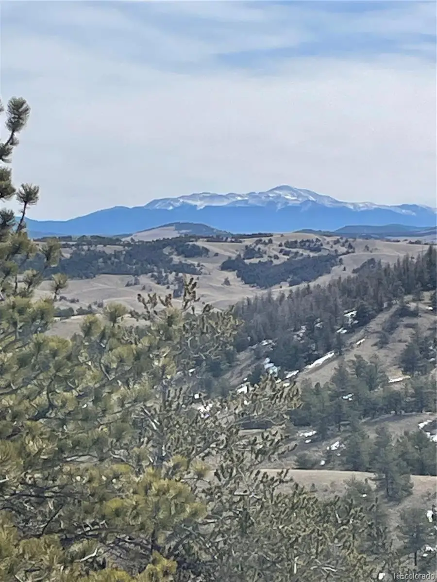 Antelope Road, Hartsel, CO 80449 - #1