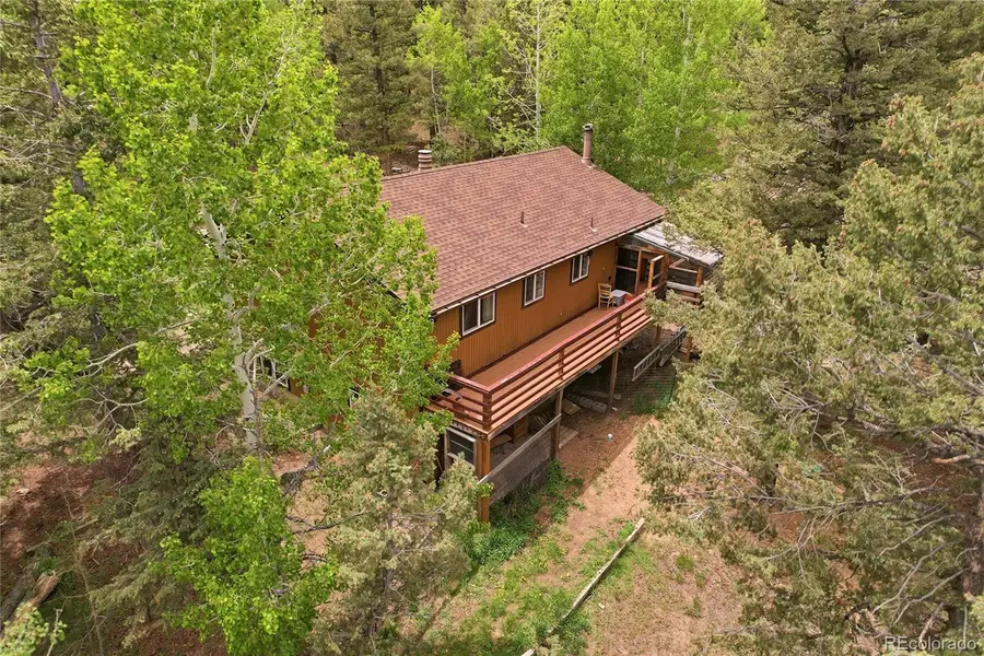 175 Mount Bailey Drive, Bailey, CO 80421 - #3