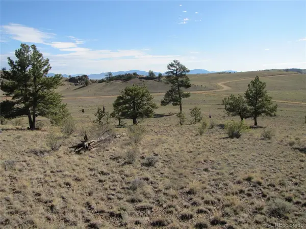 Lot 49 Quail Court, Hartsel, CO 80449