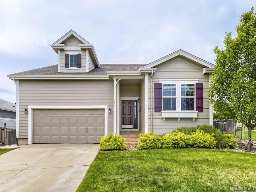 17014 Blue Indigo Lane, Parker, CO 80134 - #2