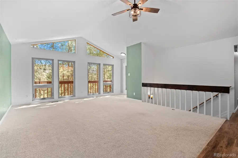 34431 Chilton Avenue, Pine, CO 80470 - #3