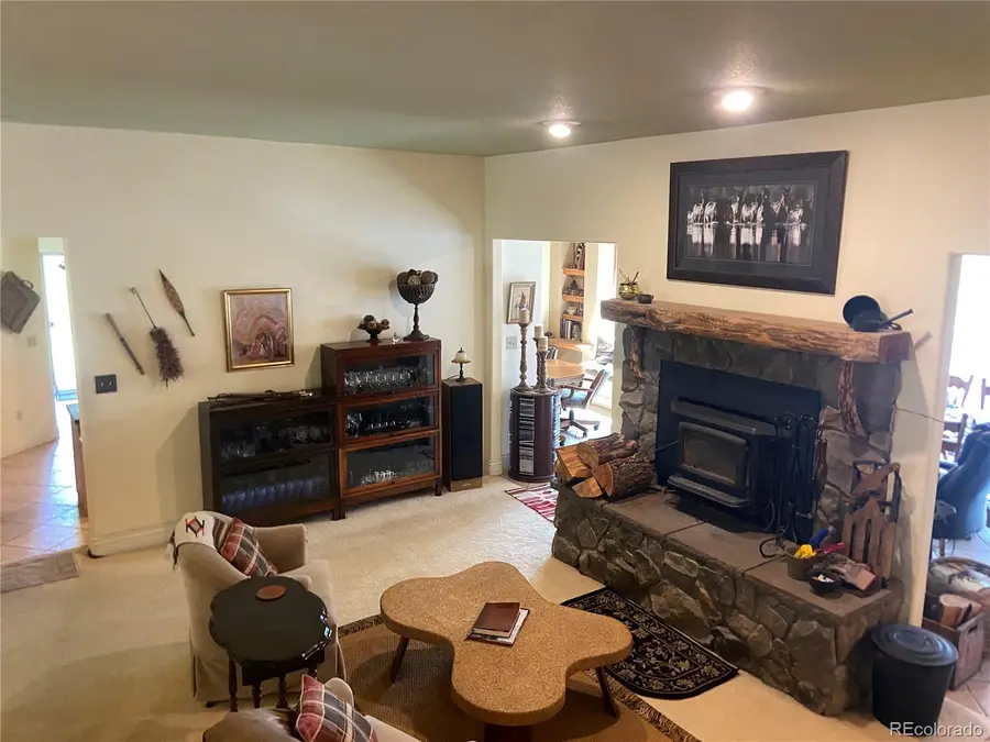 14820 Little Beaver Lane, Nathrop, CO 81236 - #2