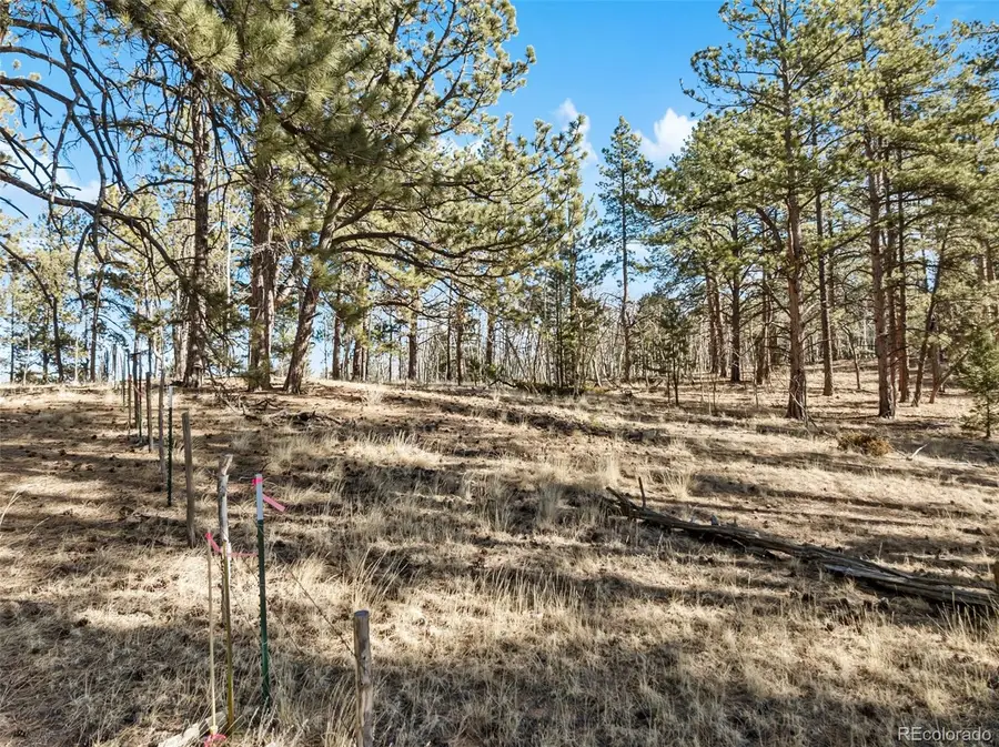 Lot 20 Echo Lake Drive, Lake George, CO 80827 - Image #2