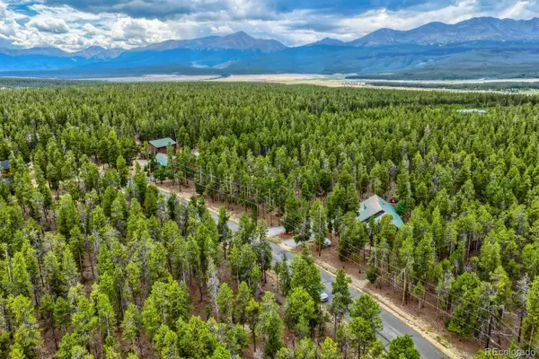 836 Baby Doe Drive, Leadville, CO 80461