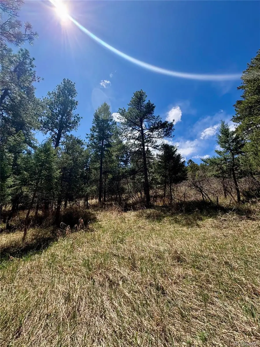 8200 Acoma Drive, Larkspur, CO 80118 - #2