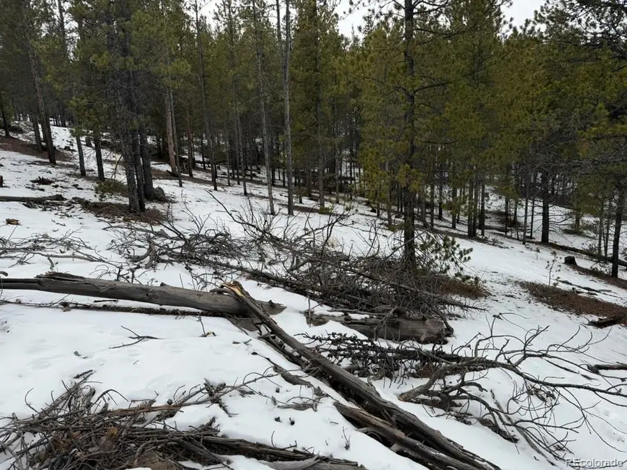 124 Lodgepole Drive, Leadville, CO 81251 - #3