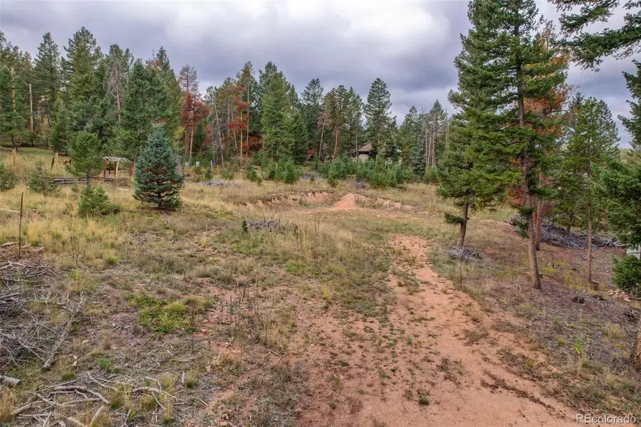 27687 Pine Grove, Conifer, CO 80433 - #3