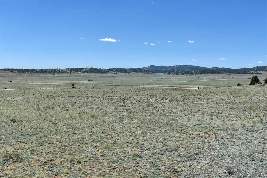 1999 Arapaho Trail, Hartsel, CO 80449 - #2