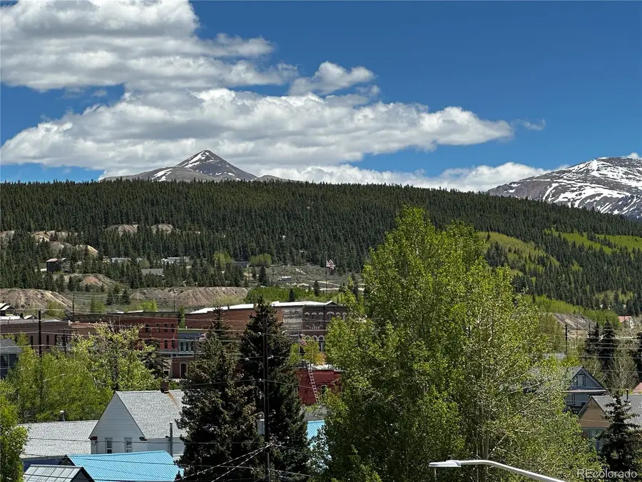 304 W 7th Street, Leadville, CO 80461 - #3