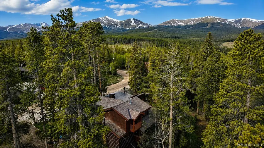 203 Lone Hand Way, Breckenridge, CO 80424 - #3