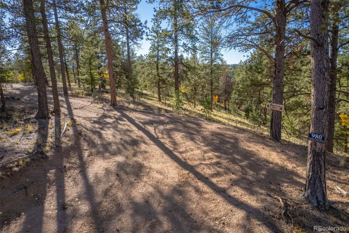 980 Spring Creek Drive, Divide, CO 80814 - Image #1
