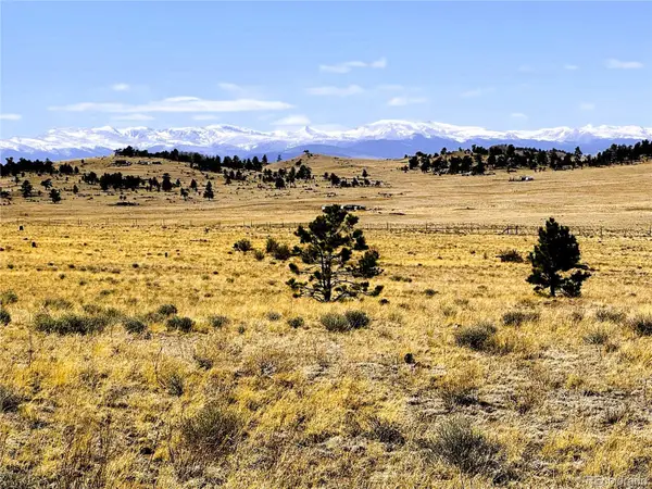 Lot 77 Black Bear Road, Hartsel, CO 80449