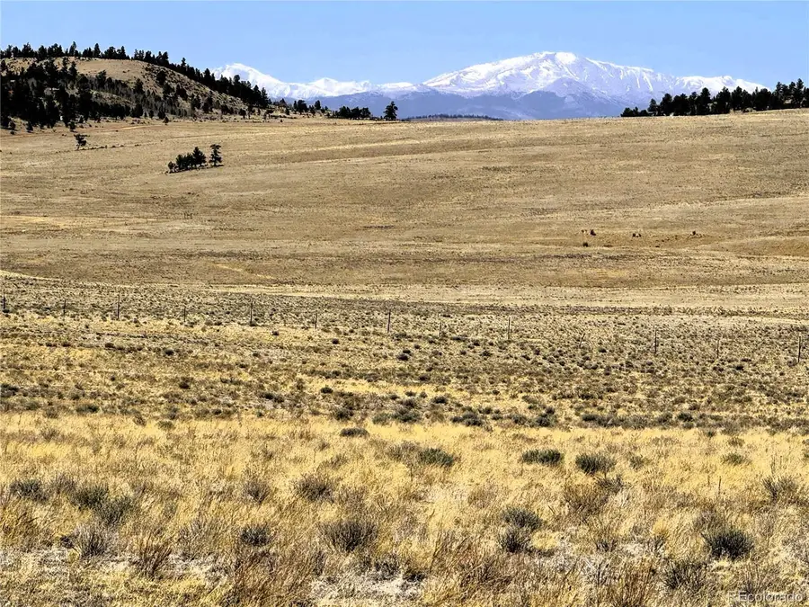 Lot 77 Black Bear Road, Hartsel, CO 80449 - #2