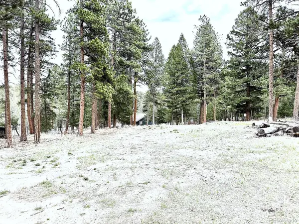 252 Beaver Trail, Bailey, CO 80421