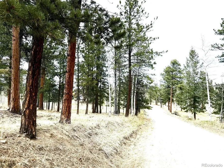 252 Beaver Trail, Bailey, CO 80421 - #3