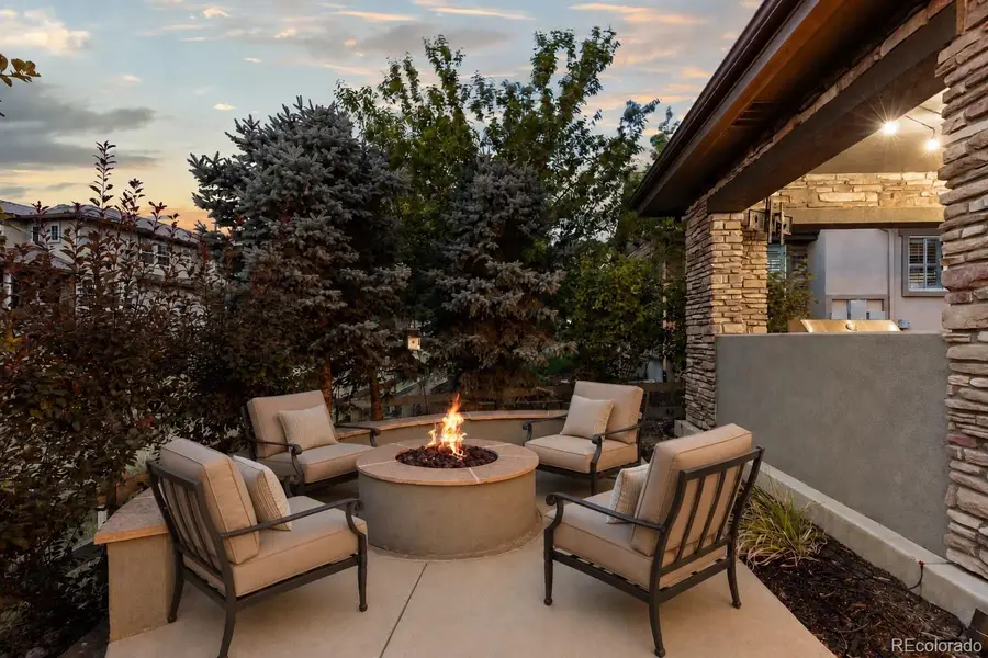 10482 Marigold Court, Highlands Ranch, CO 80126 - #3