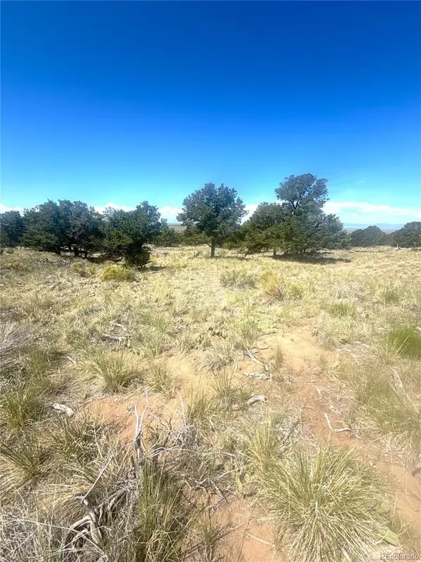 4469 Greenview Court, Crestone, CO 81131