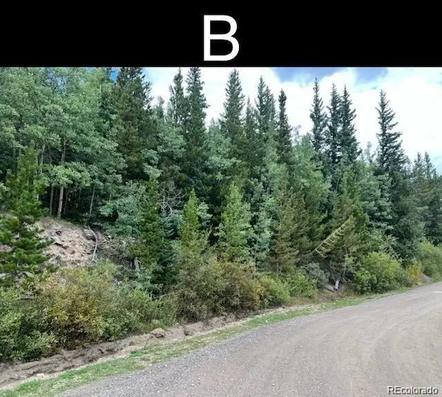 000 Nebraska Drive, Idaho Springs, CO 80452 - #3