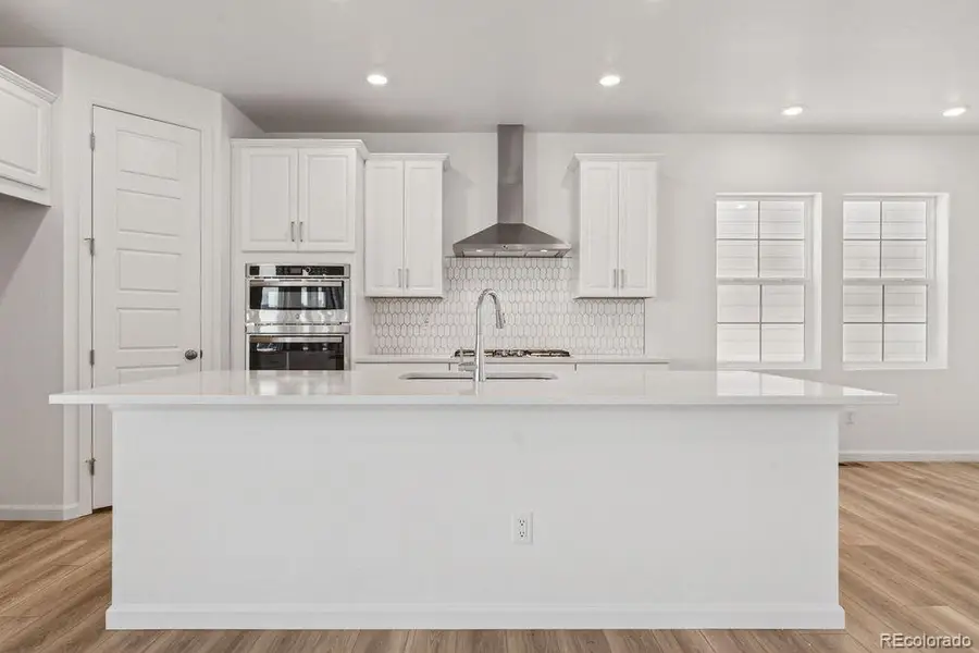 8732 Whiteclover Street, Littleton, CO 80125 - #2