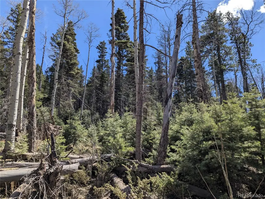 2452 Petito Drive, Fort Garland, CO 81133 - #3