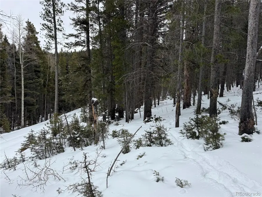 Lot 2759 Purnell Lane, Fort Garland, CO 81133 - #2