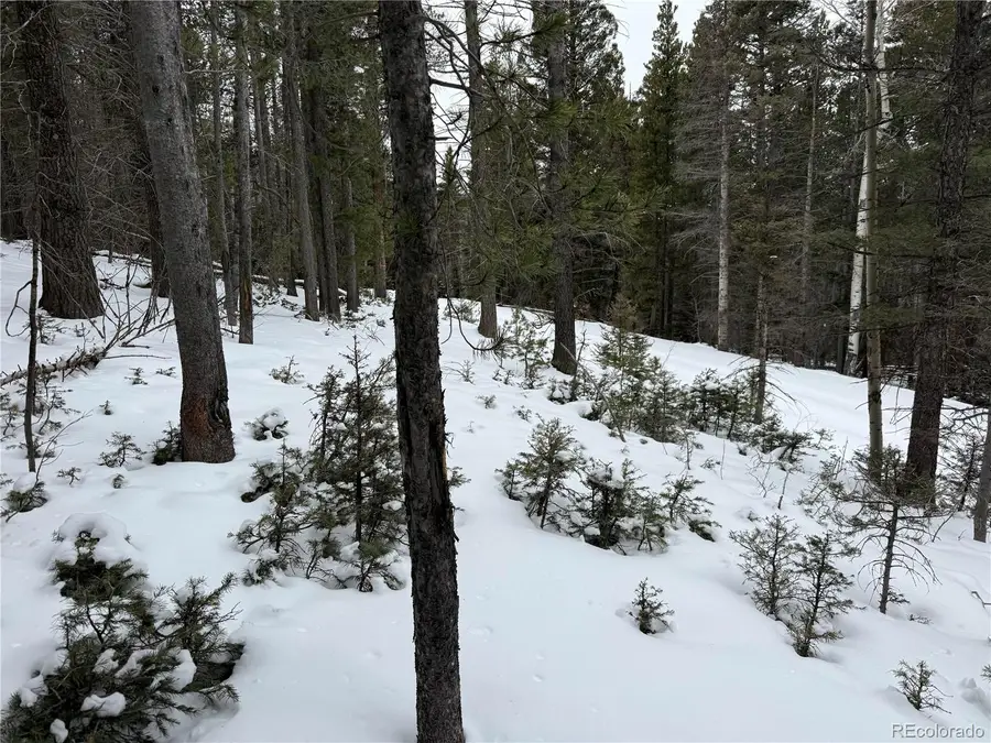 Lot 2759 Purnell Lane, Fort Garland, CO 81133 - #3