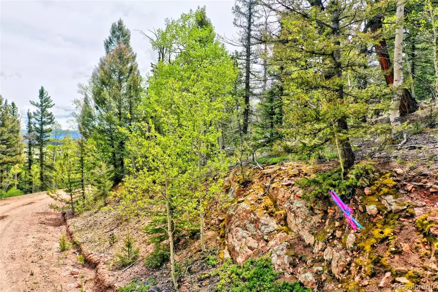 28 Old Squaw Road, Jefferson, CO 80456 - #2