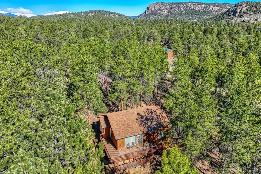 261 Impala Trail, Bailey, CO 80421 - #2