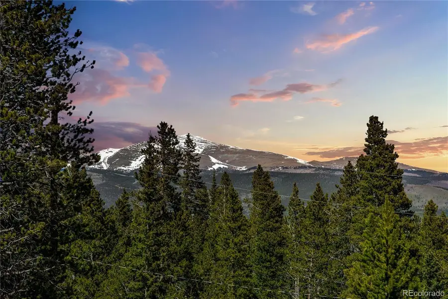 258 Gold Trail Cutoff, Fairplay, CO 80440 - #3