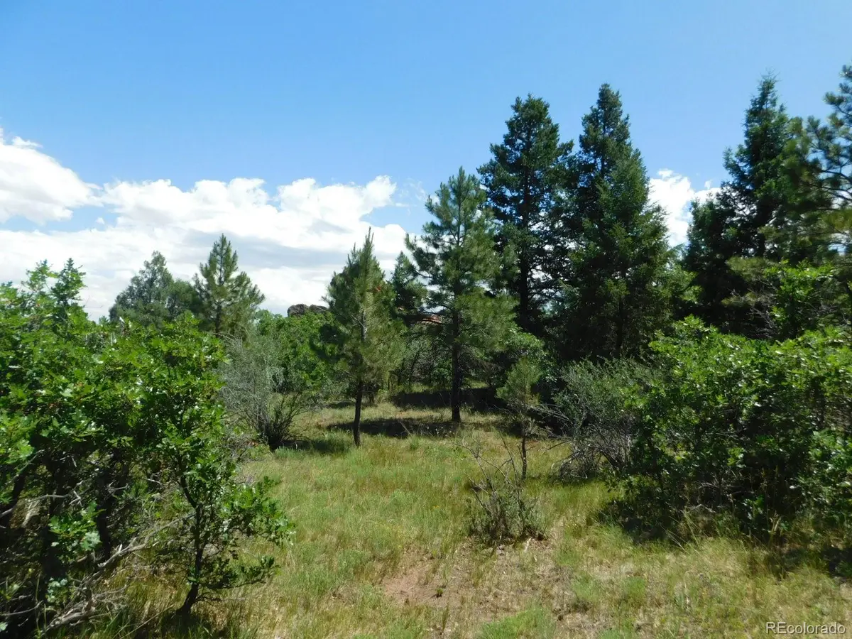 6447 Thunderbird Road, Larkspur, CO 80118 - #1