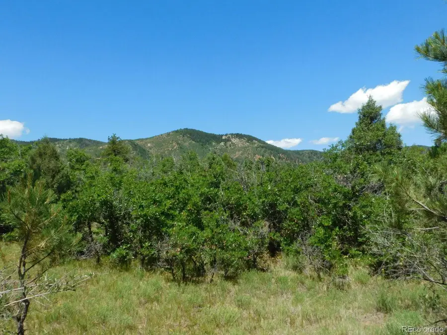 6447 Thunderbird Road, Larkspur, CO 80118 - #3